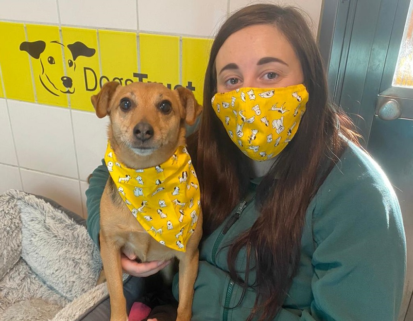 Dogs trust gifts online online